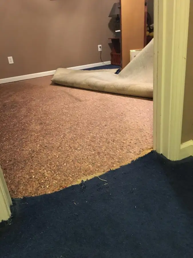 Carpet pad removal revealing water damage during Drying & Dehumidification in Kenilworth