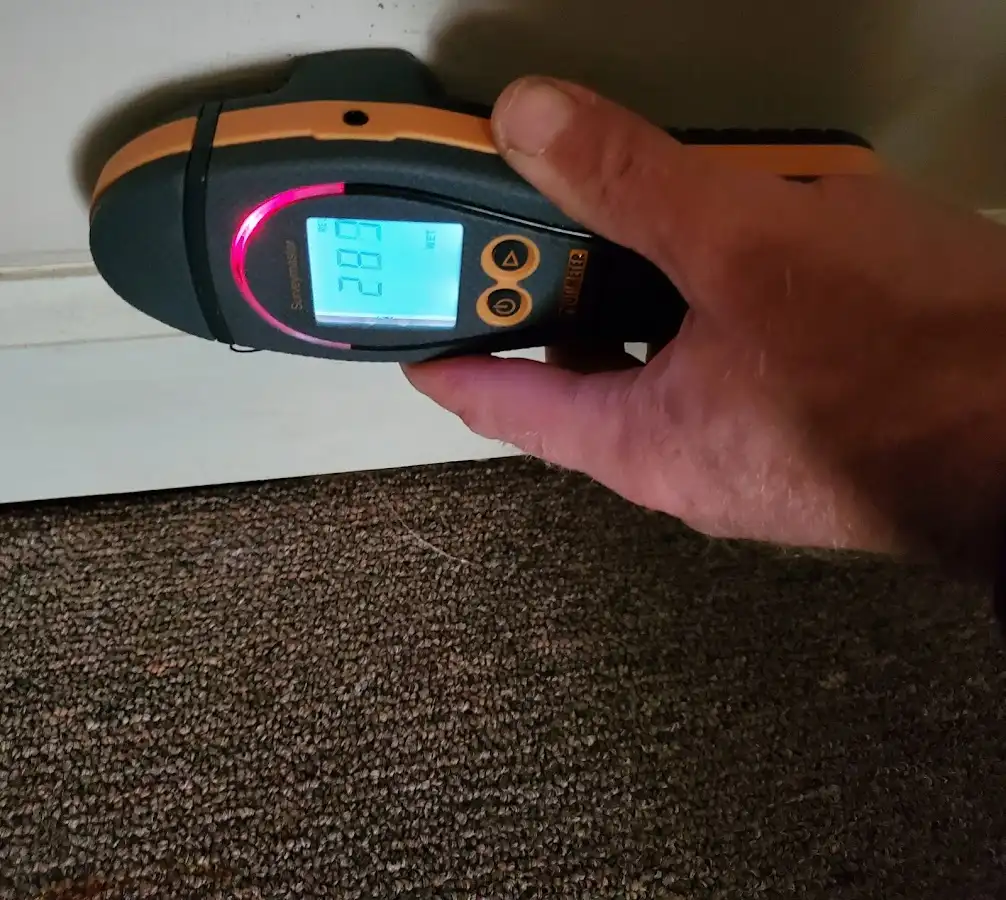 Moisture detection at baseboard during Sewage Cleanup & Sanitation in Kenilworth